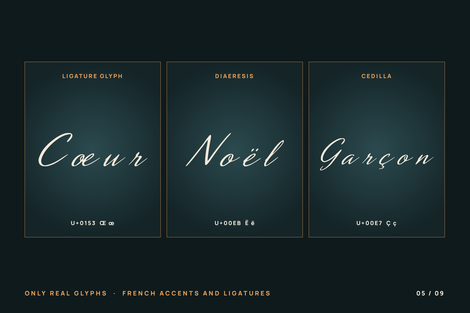 Aperture Reel French glyph panels setting Cœur, Noël and Garçon with ligature, diaeresis and cedilla