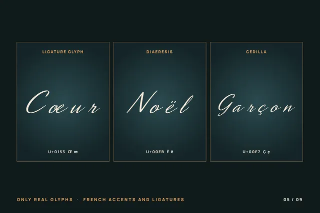 Aperture Reel French glyph panels setting Cœur, Noël and Garçon with ligature, diaeresis and cedilla