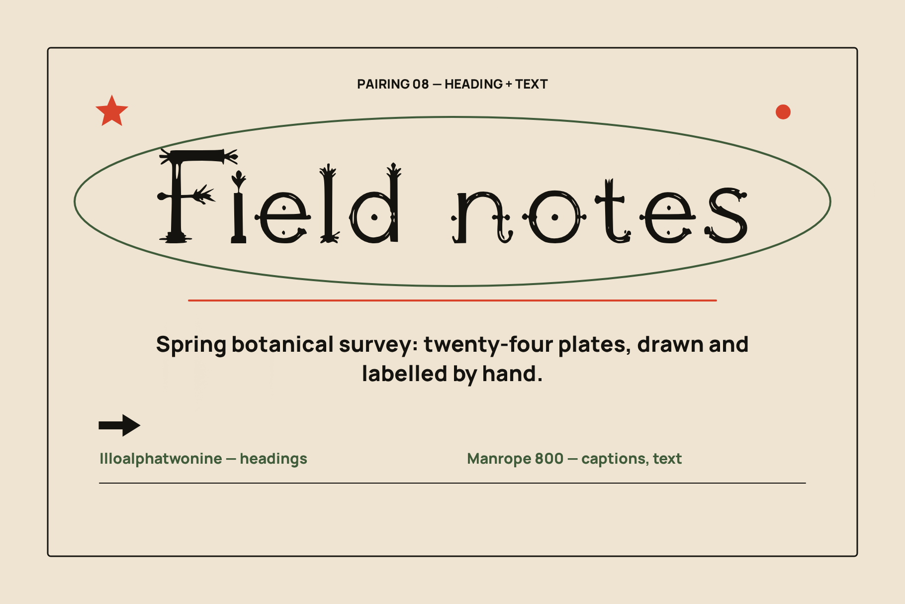Illoalphatwonine pairing card with a Field notes heading over a sans serif caption line