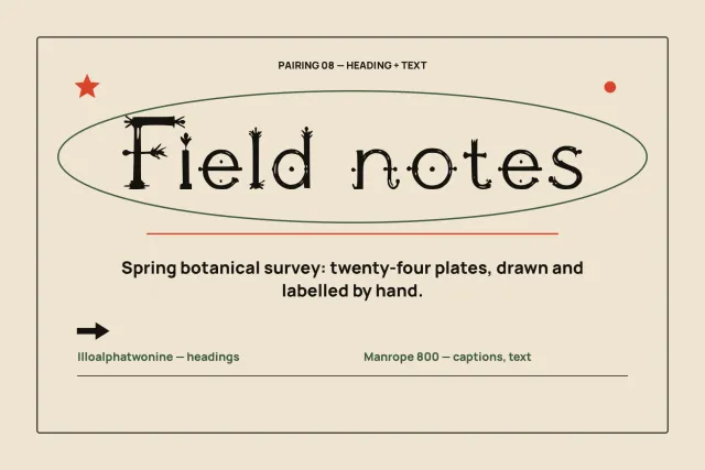 Illoalphatwonine pairing card with a Field notes heading over a sans serif caption line