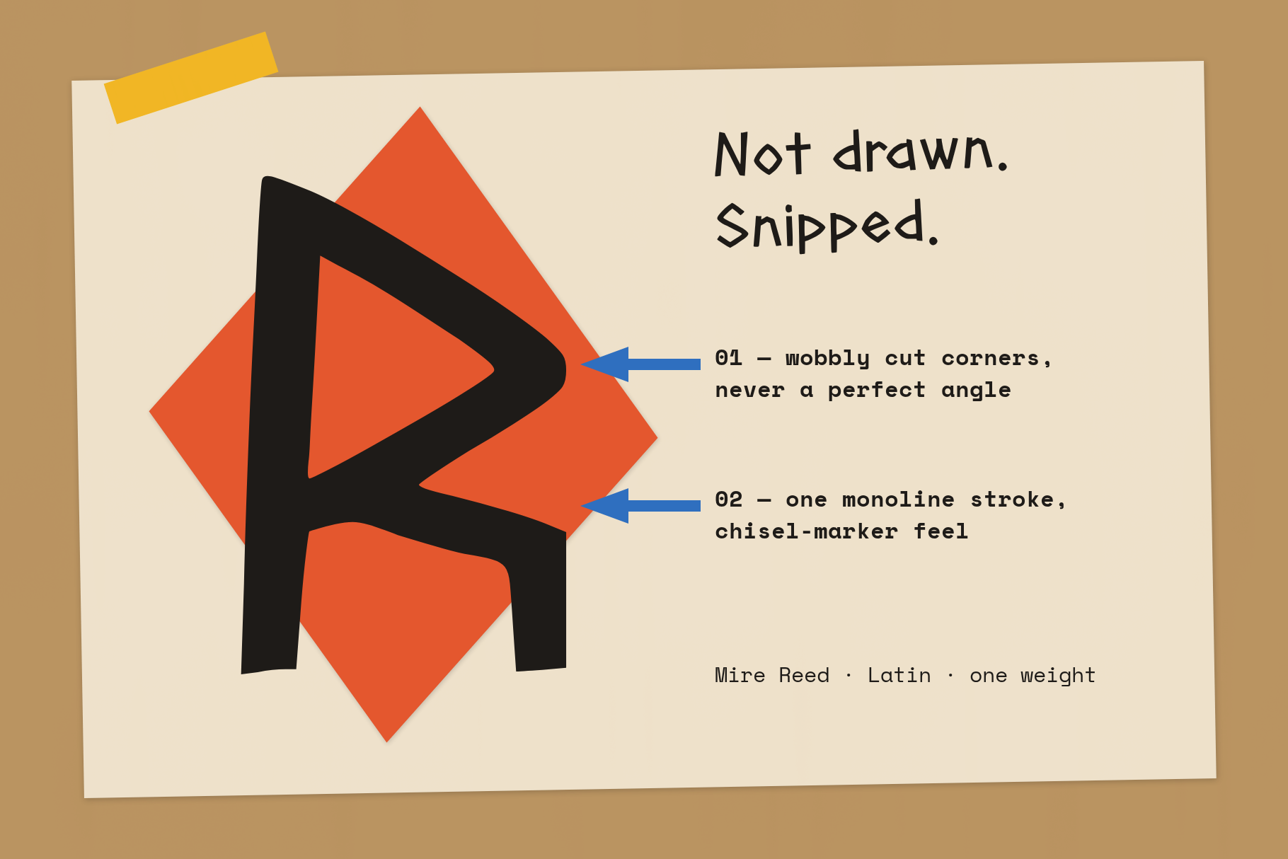 Mire Reed single glyph shown at very large size